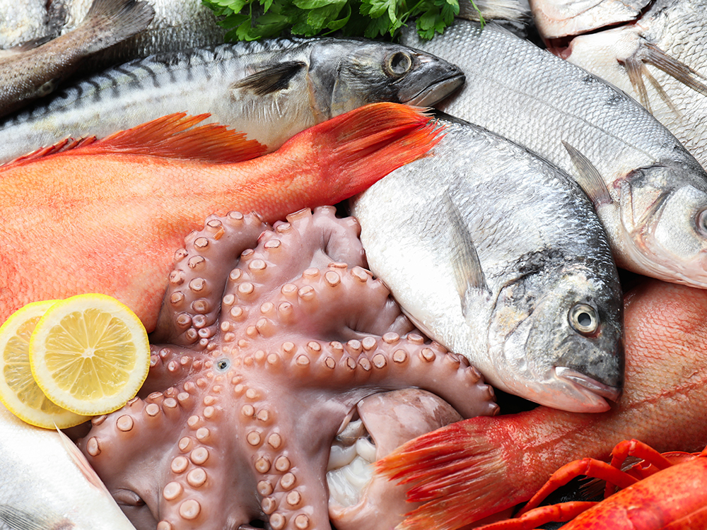 Come riconoscere se il pesce fresco? Ve lo dice il CAR.